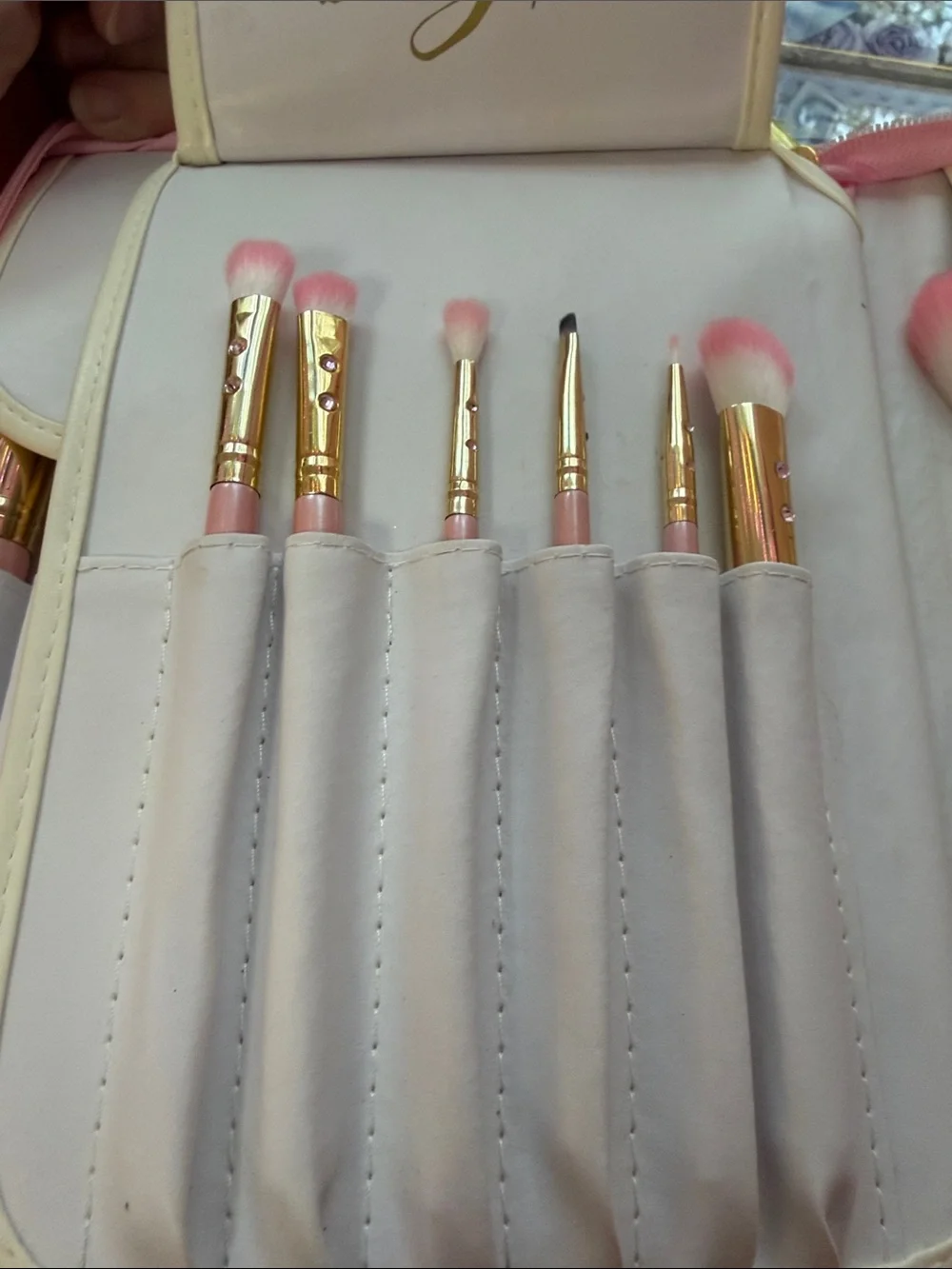 SLMISSGLAM Glam Brush Book - Pink Makeup Brush Organizer with 24 brushes